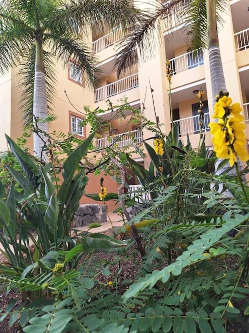 Tropical Apartment - Heated Pool بالم مار المظهر الخارجي الصورة